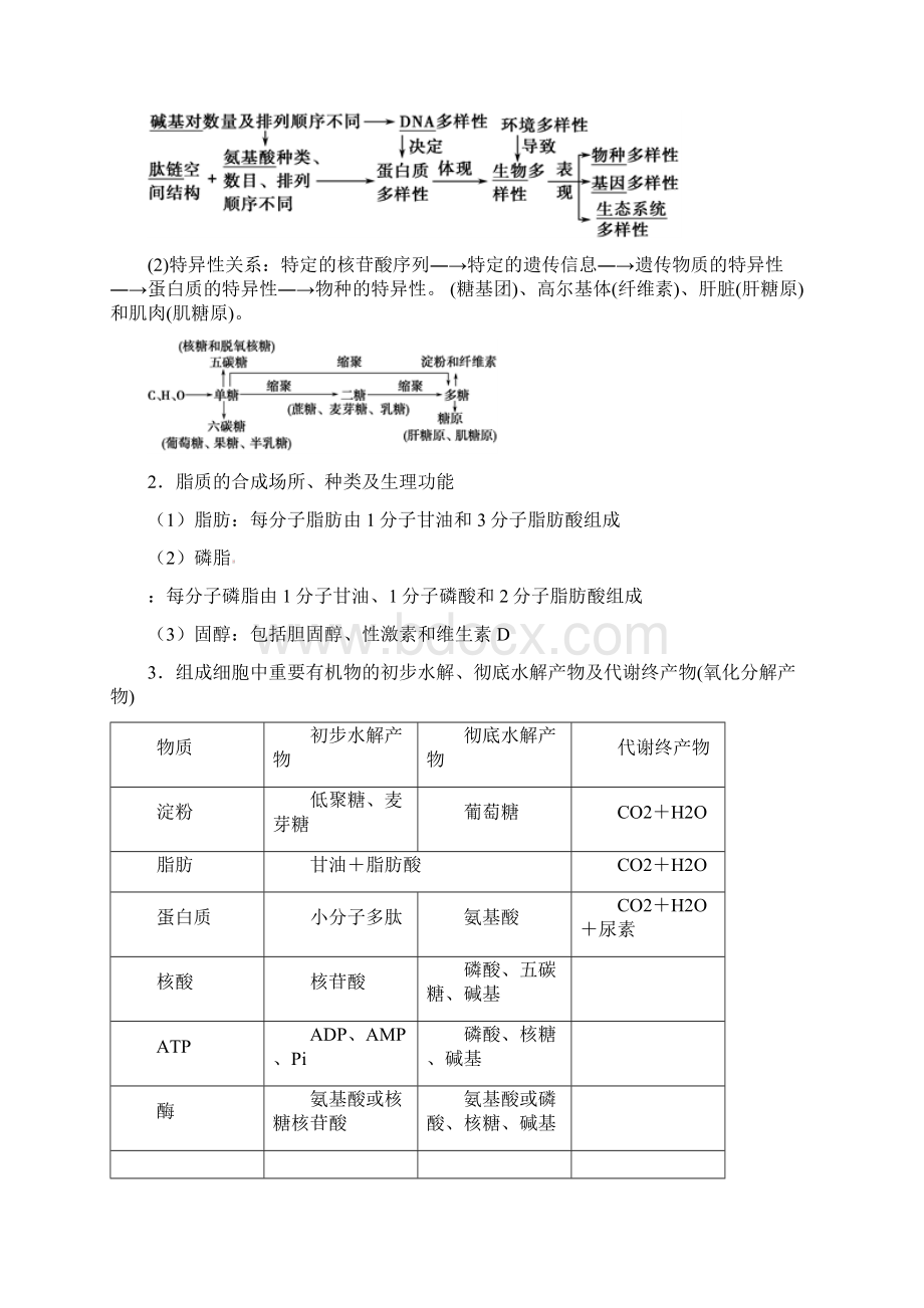 高考生物考纲解读与热点难点突破专题01细胞的分子组成教学案9Word文档下载推荐.docx_第3页