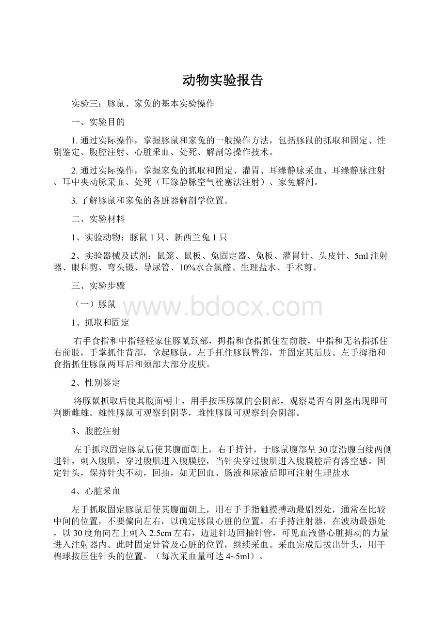 动物实验报告Word格式.docx