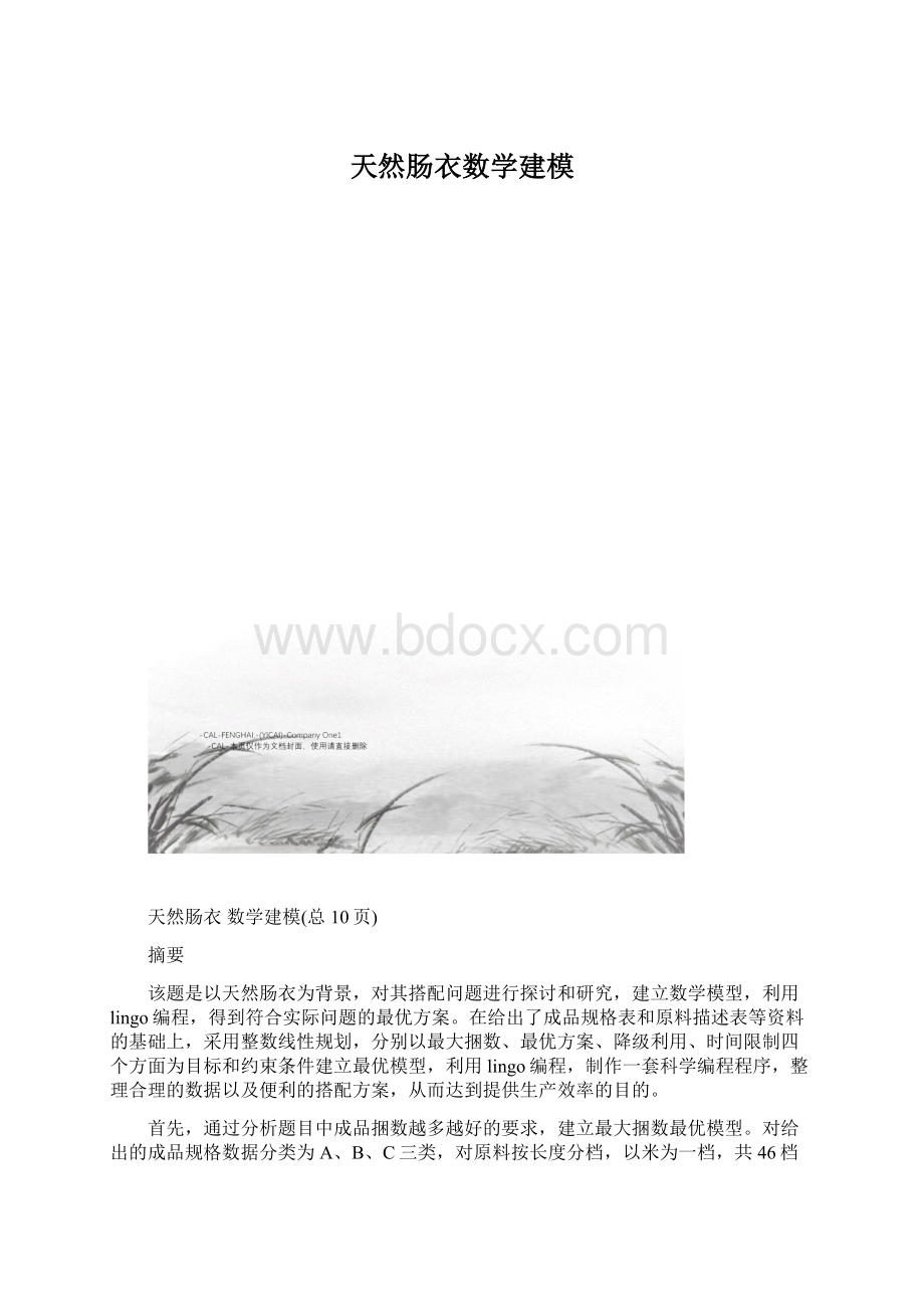 天然肠衣数学建模.docx