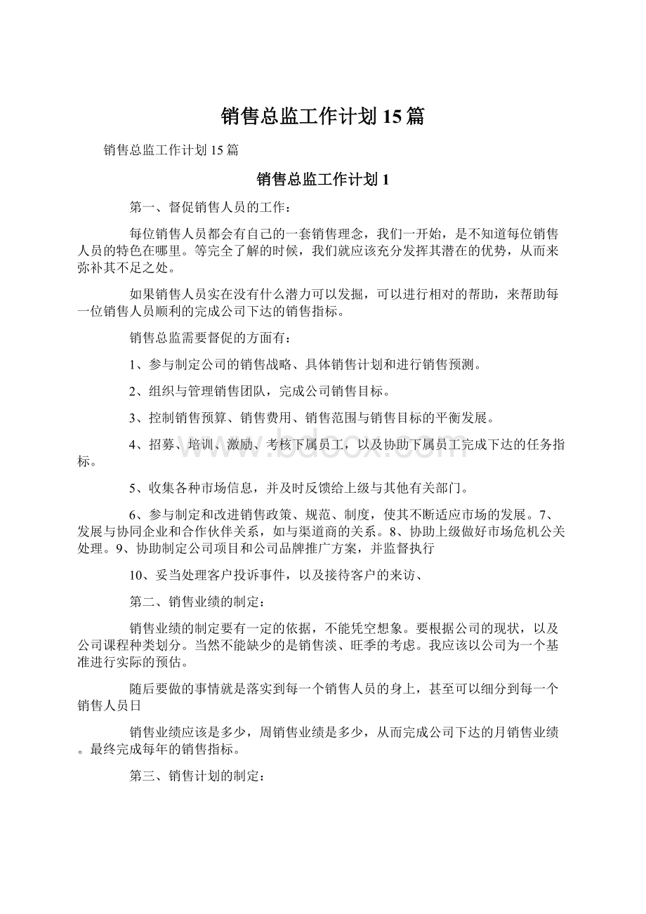 销售总监工作计划15篇文档格式.docx