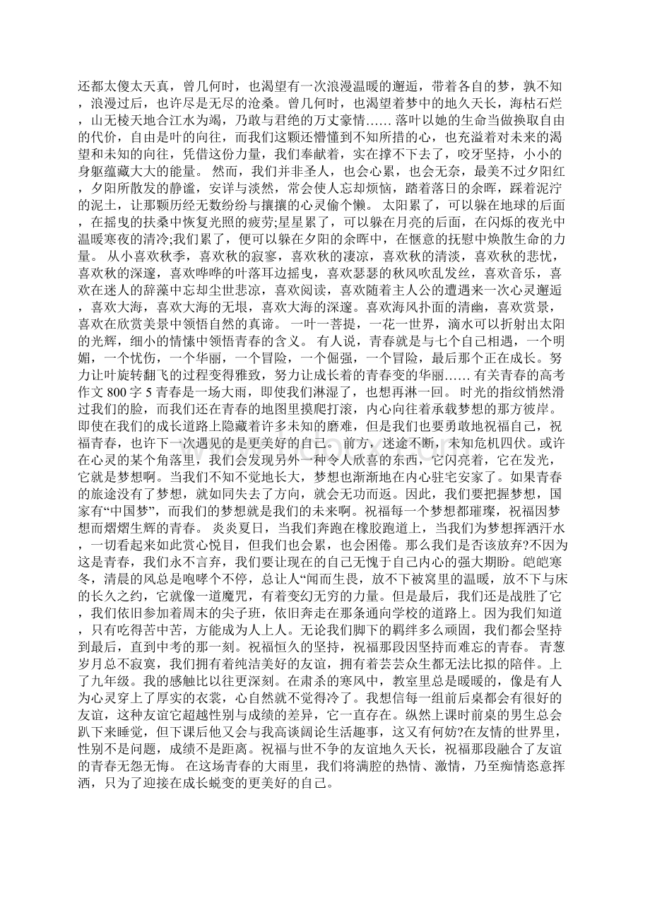 有关青春的高考作文800字.docx_第3页