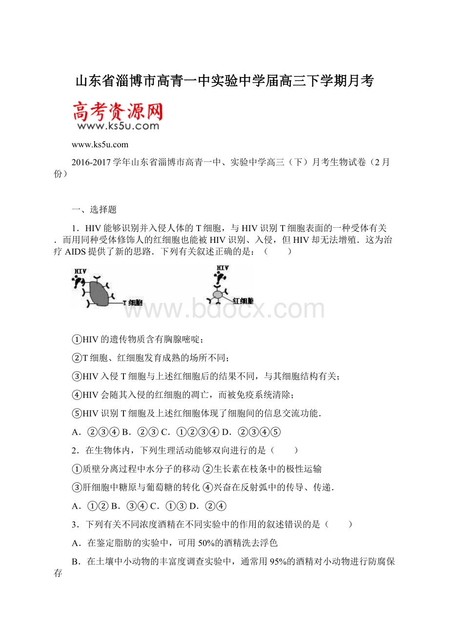 山东省淄博市高青一中实验中学届高三下学期月考.docx_第1页