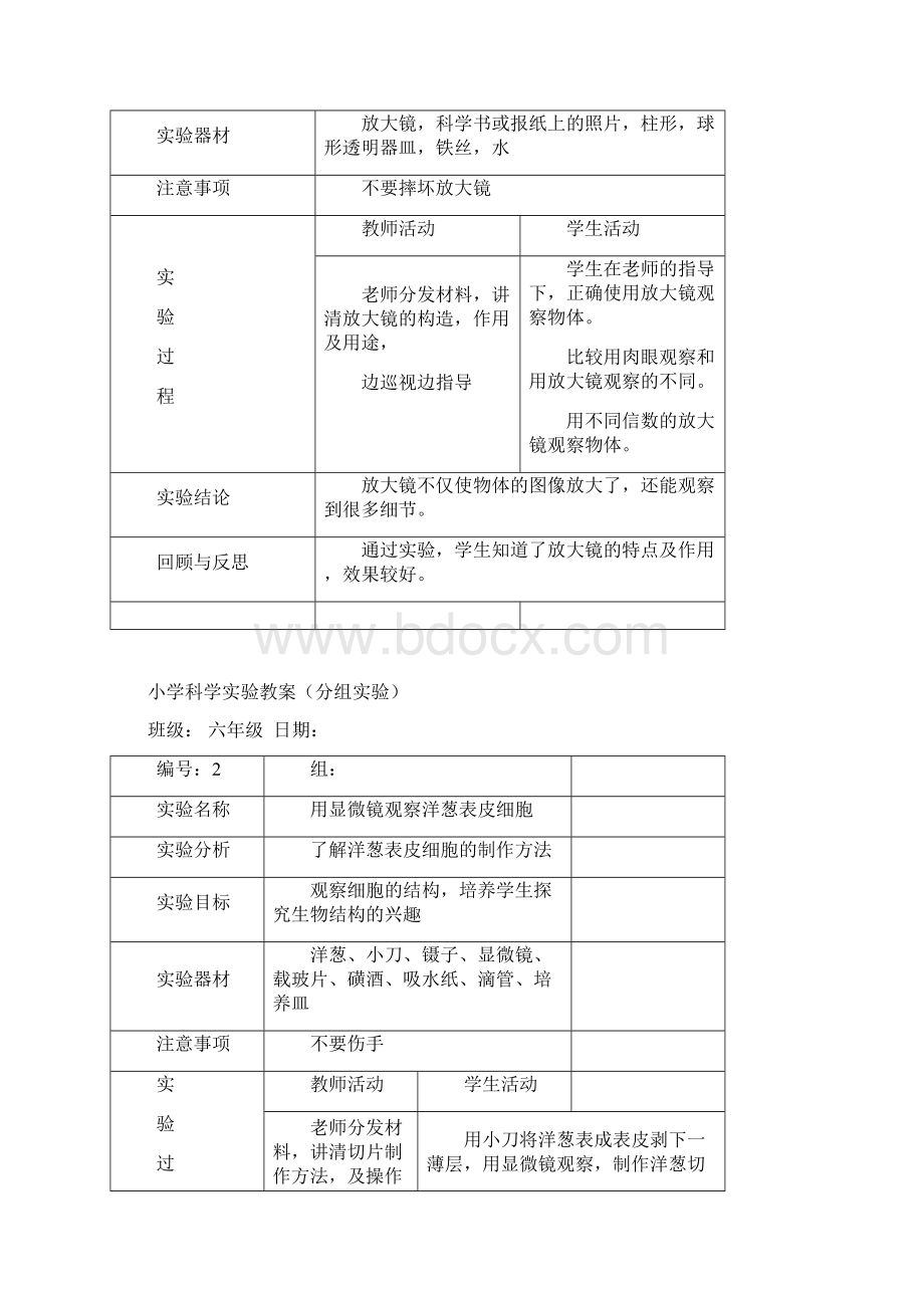 魏旗小学六年级下册科学实验教案及实验报告单.docx_第2页