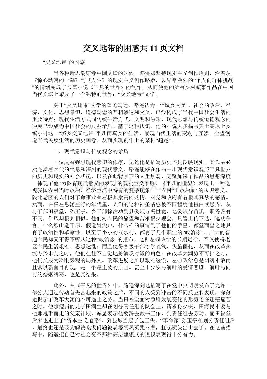 交叉地带的困惑共11页文档.docx_第1页