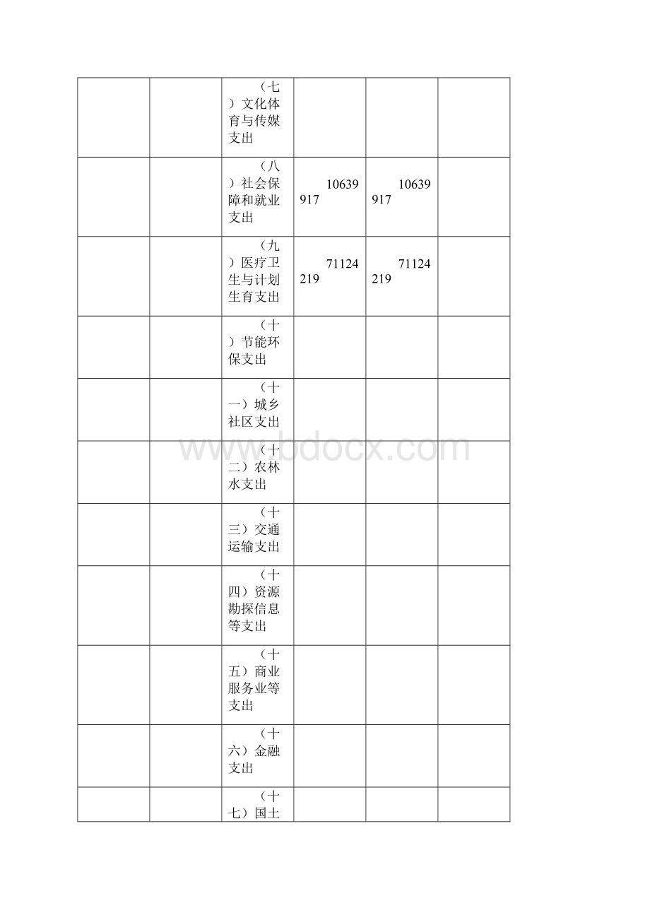 卫计系统部门预算预算表Word下载.docx_第2页