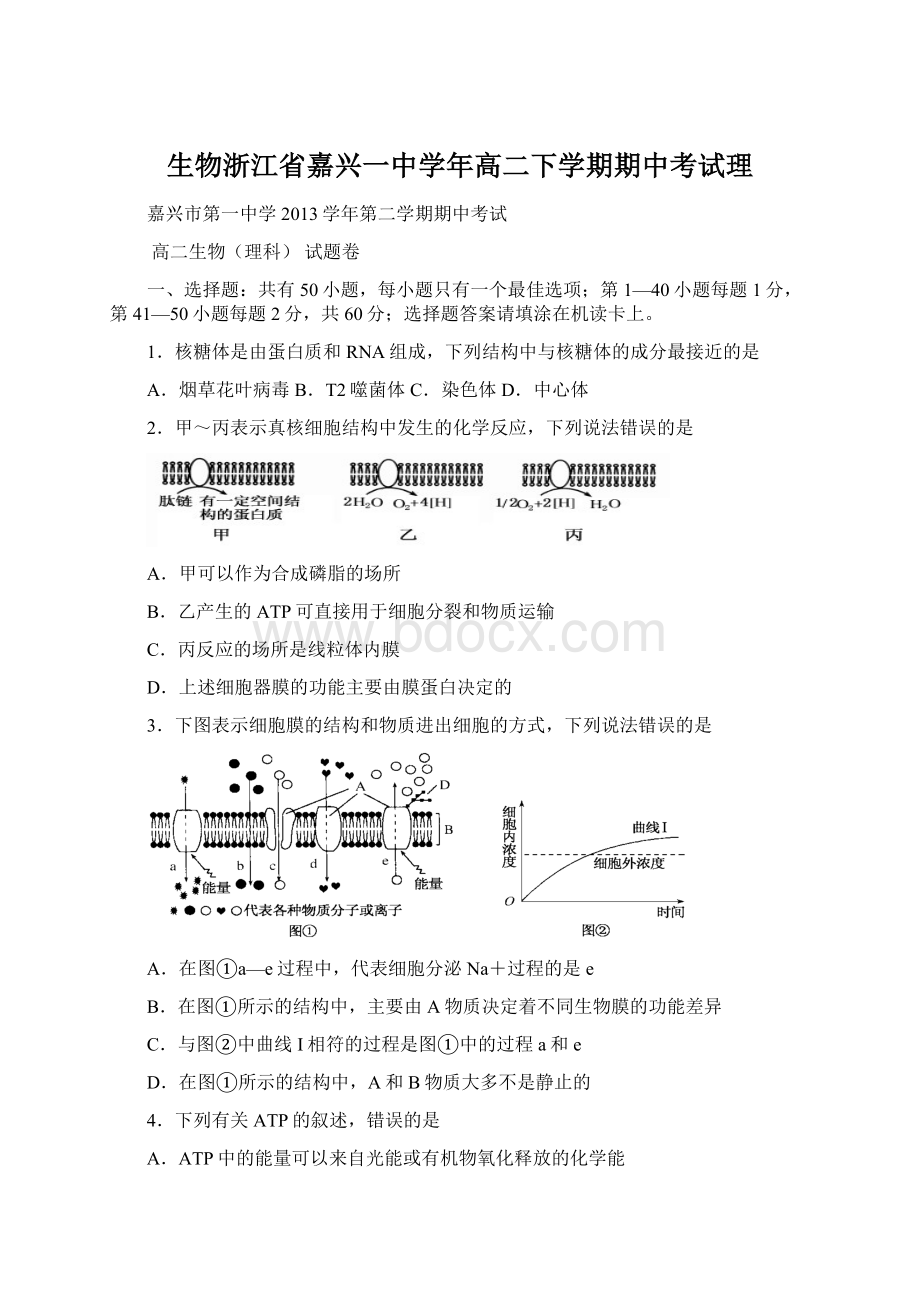 生物浙江省嘉兴一中学年高二下学期期中考试理Word下载.docx_第1页