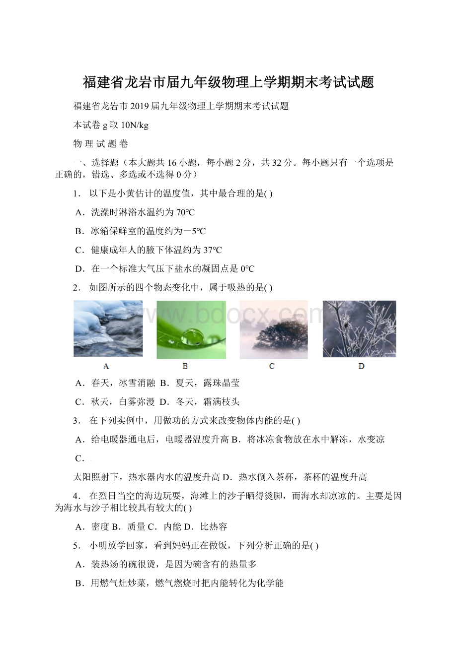 福建省龙岩市届九年级物理上学期期末考试试题.docx_第1页