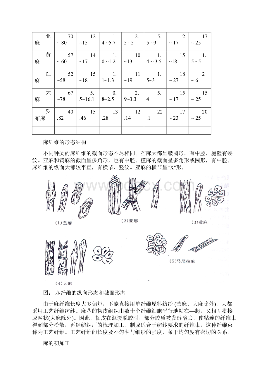 人类最早使用的植物纤维 麻.docx_第2页