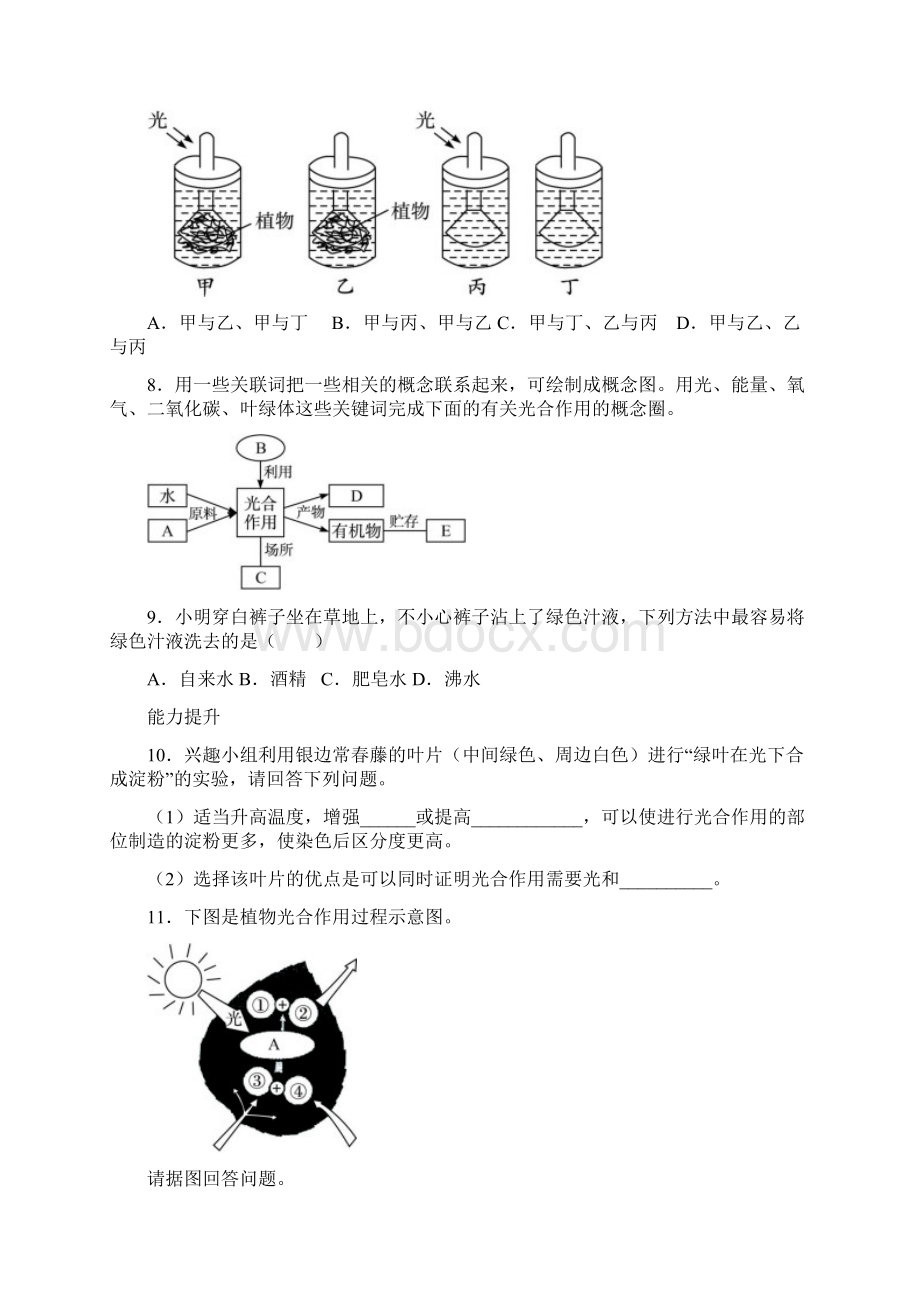 光合作用课后训练Word下载.docx_第2页