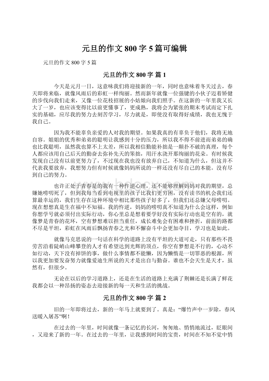 元旦的作文800字5篇可编辑.docx_第1页