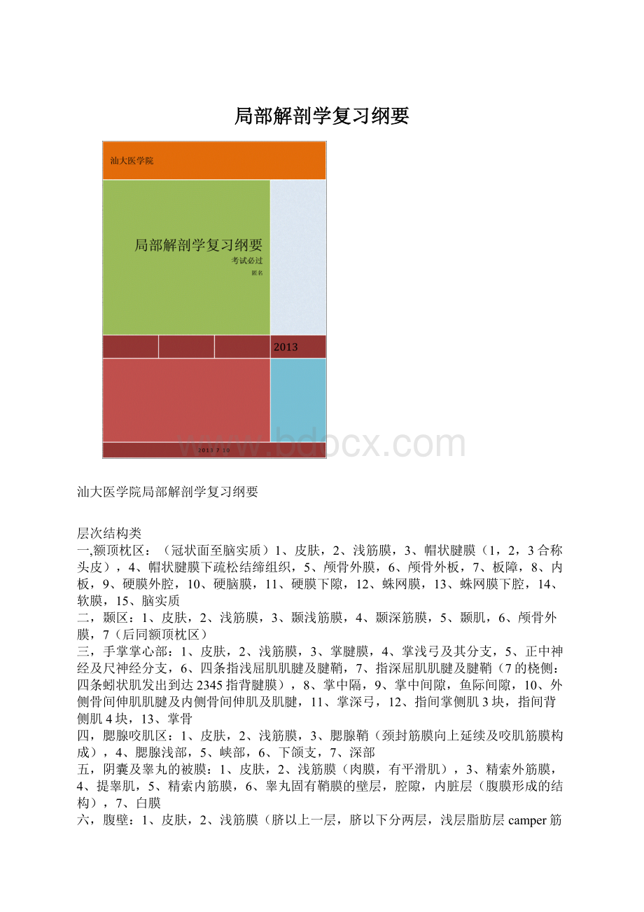 局部解剖学复习纲要.docx_第1页