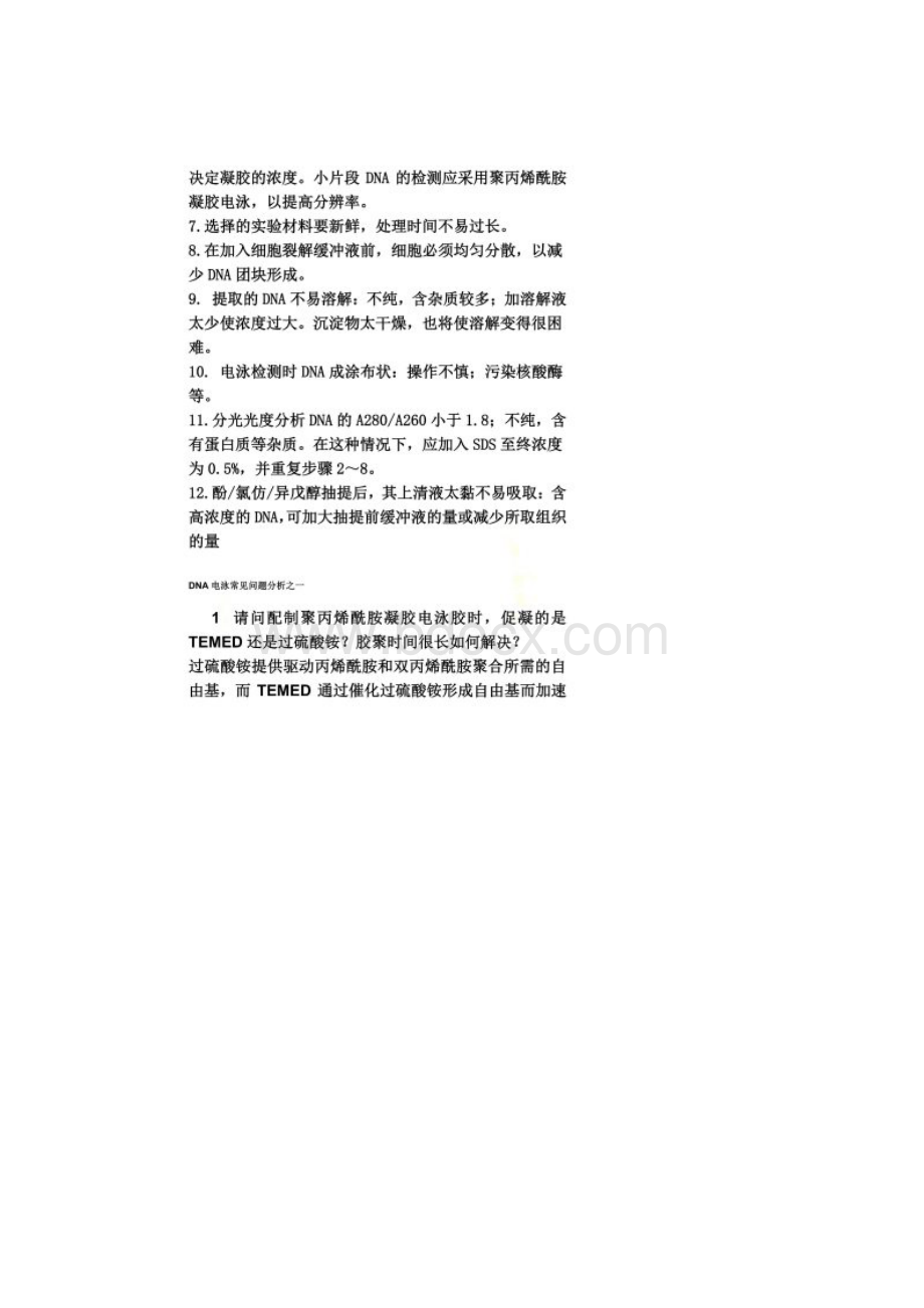 DNA电泳常见问题分析.docx_第2页