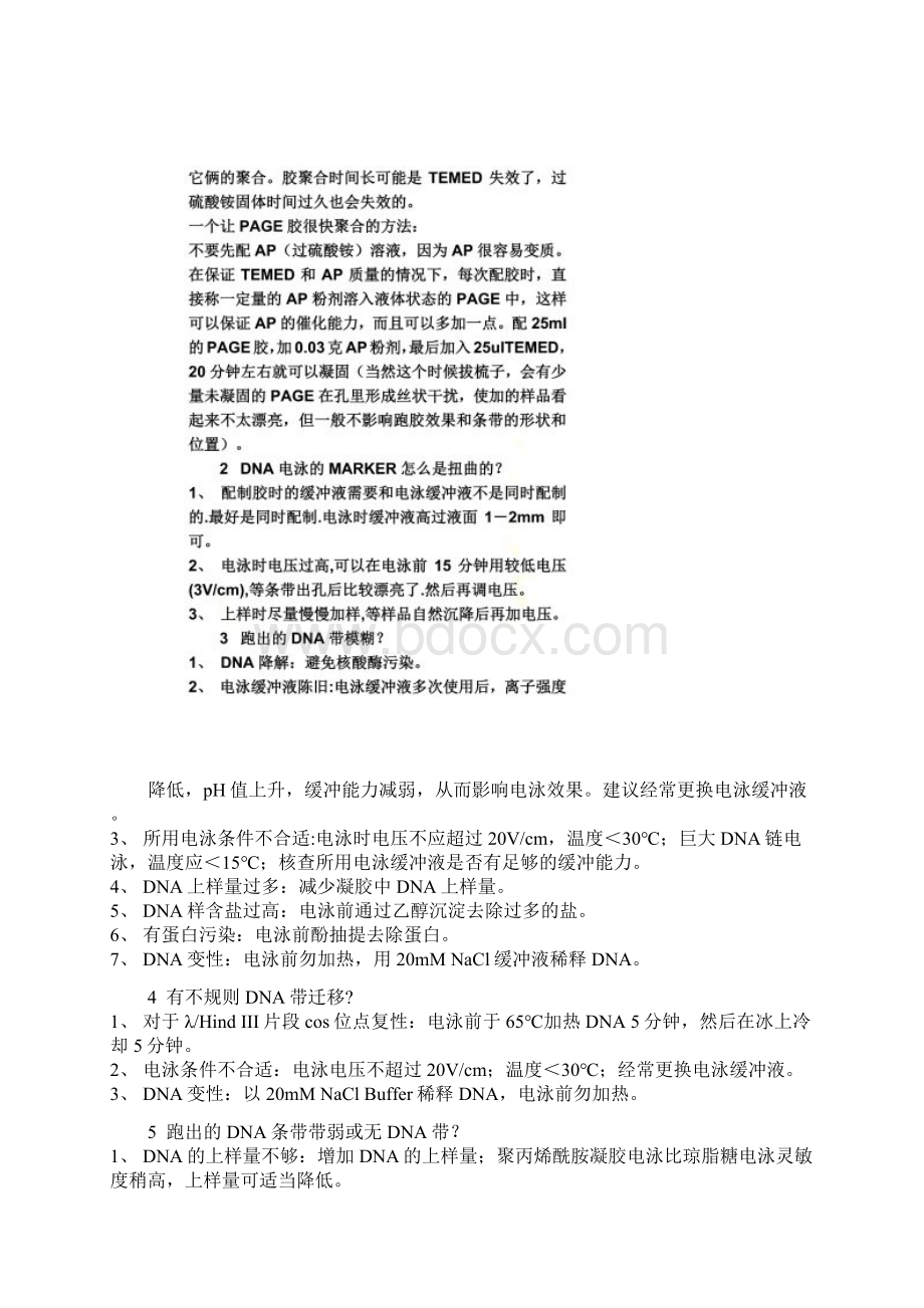 DNA电泳常见问题分析.docx_第3页