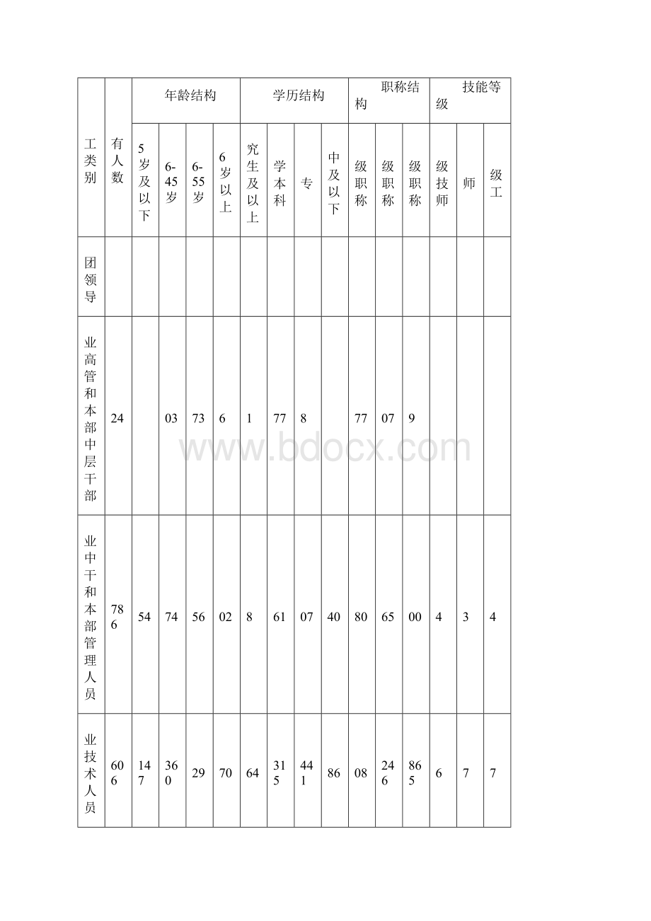 集团人才工作行动纲要.docx_第3页