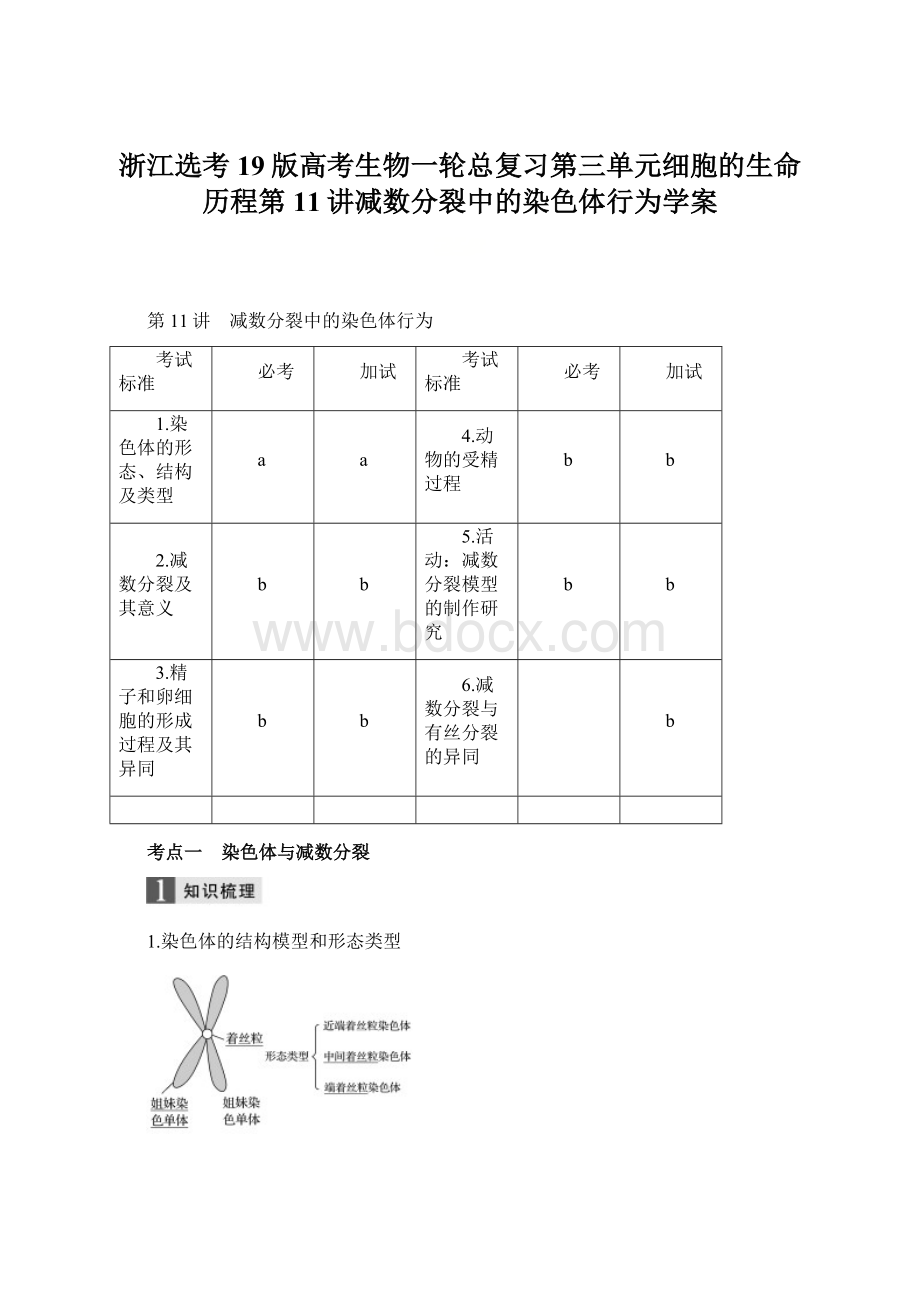 浙江选考19版高考生物一轮总复习第三单元细胞的生命历程第11讲减数分裂中的染色体行为学案Word格式.docx