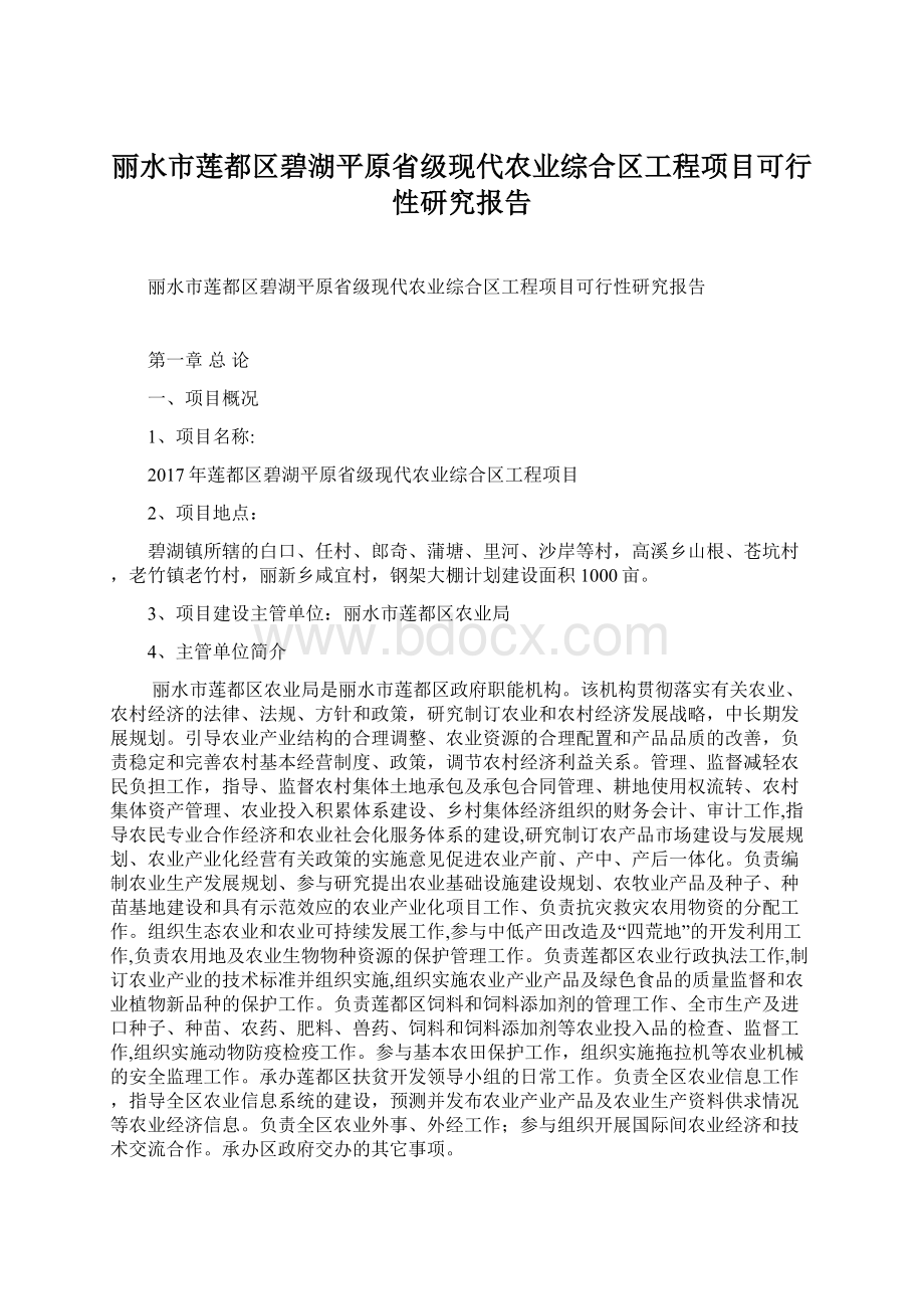 丽水市莲都区碧湖平原省级现代农业综合区工程项目可行性研究报告.docx