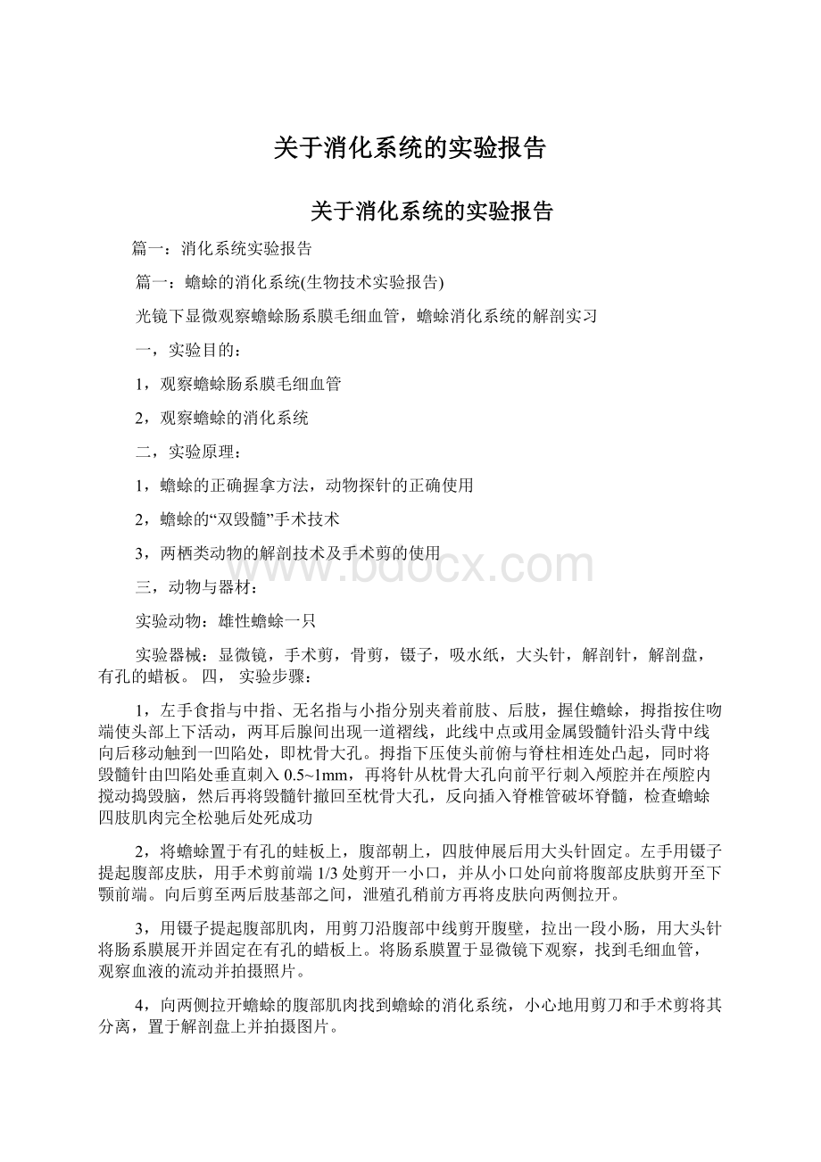 关于消化系统的实验报告Word文档下载推荐.docx