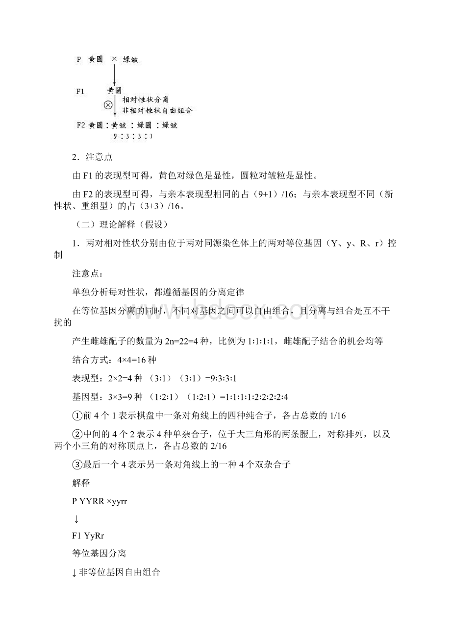 基因的自由组合定律复习教案.docx_第2页