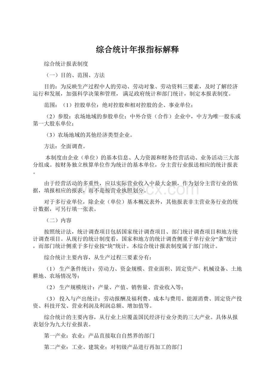 综合统计年报指标解释Word文档格式.docx