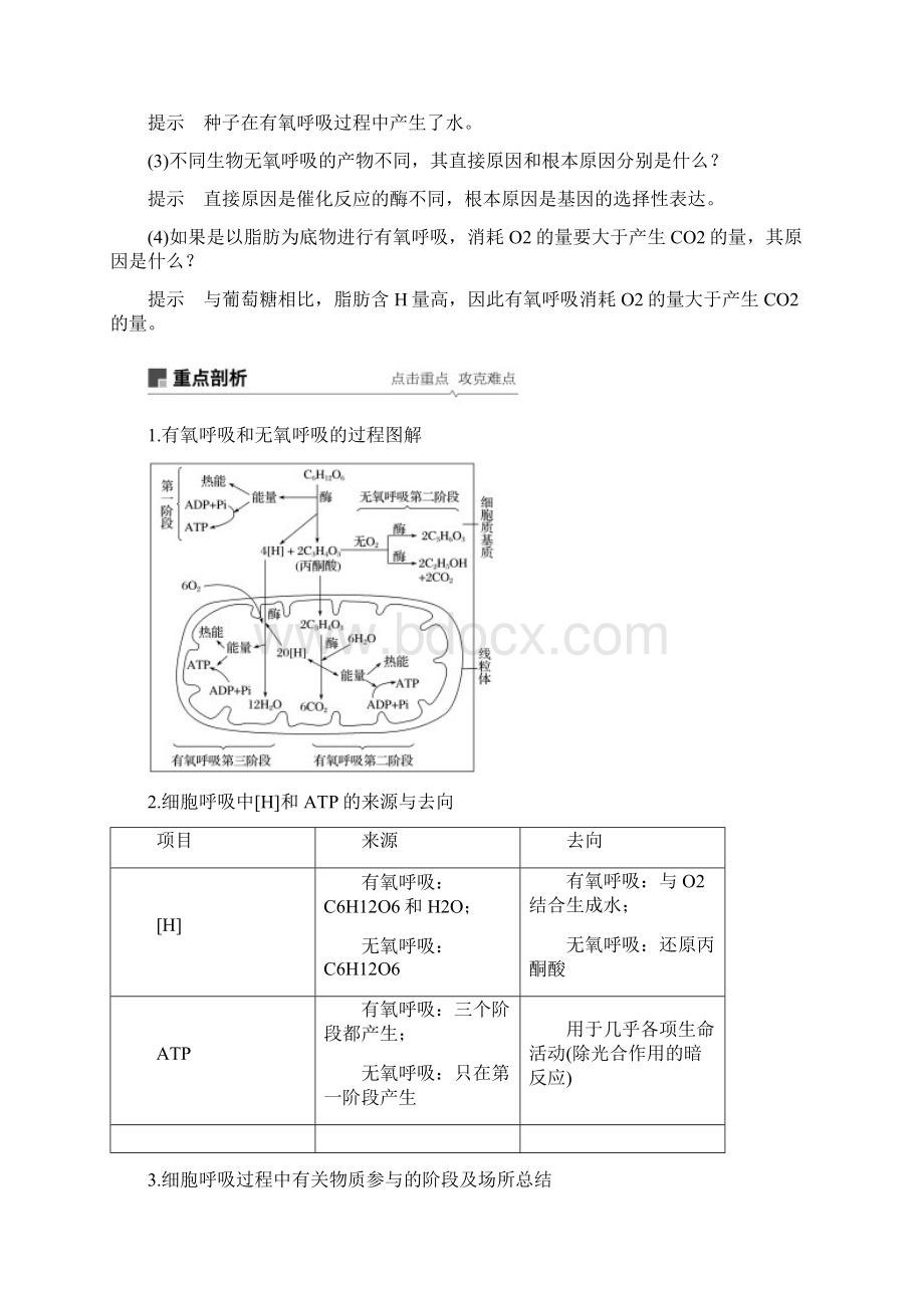 届一轮复习人教版第10讲细胞呼吸教案.docx_第3页