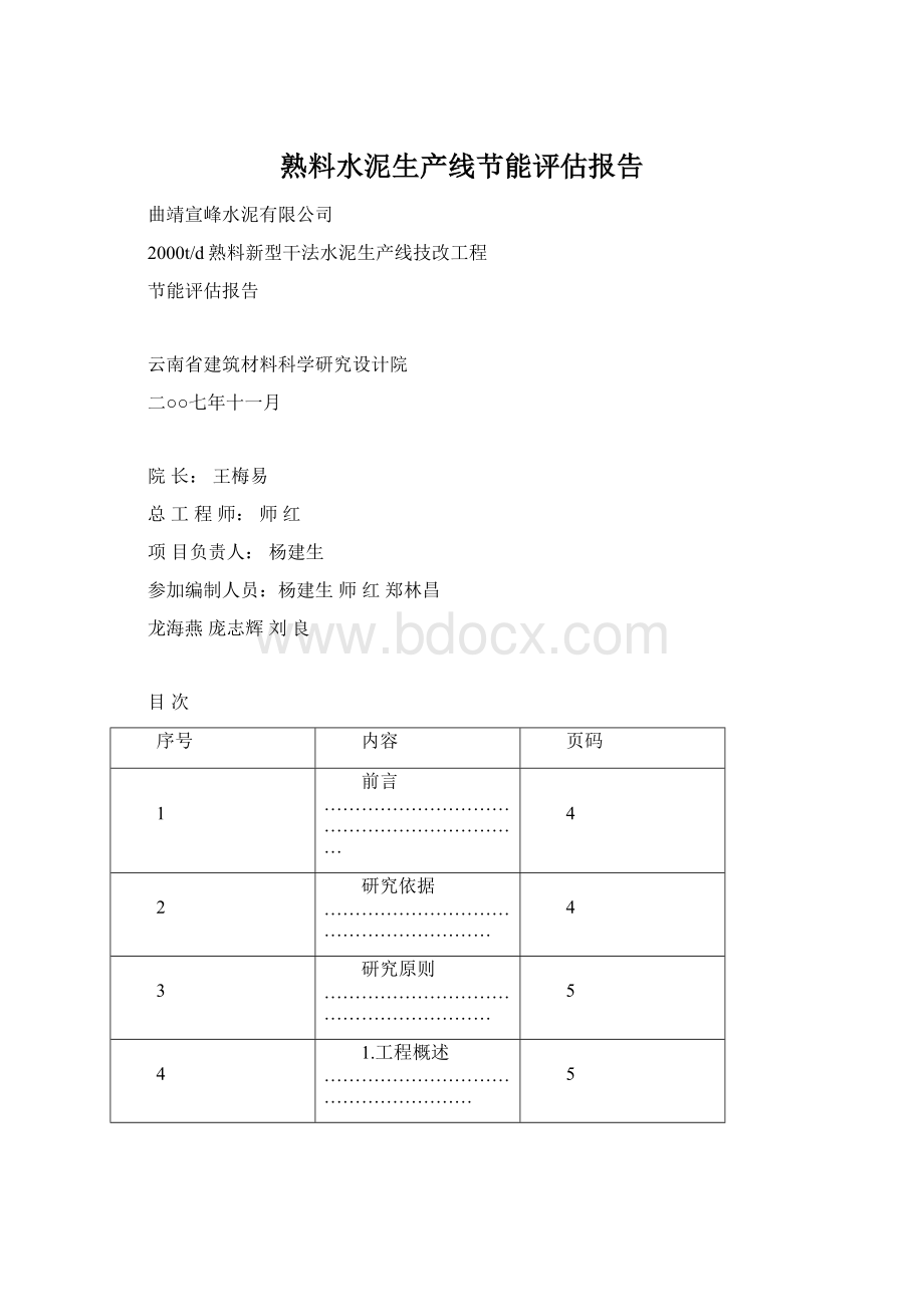 熟料水泥生产线节能评估报告文档格式.docx