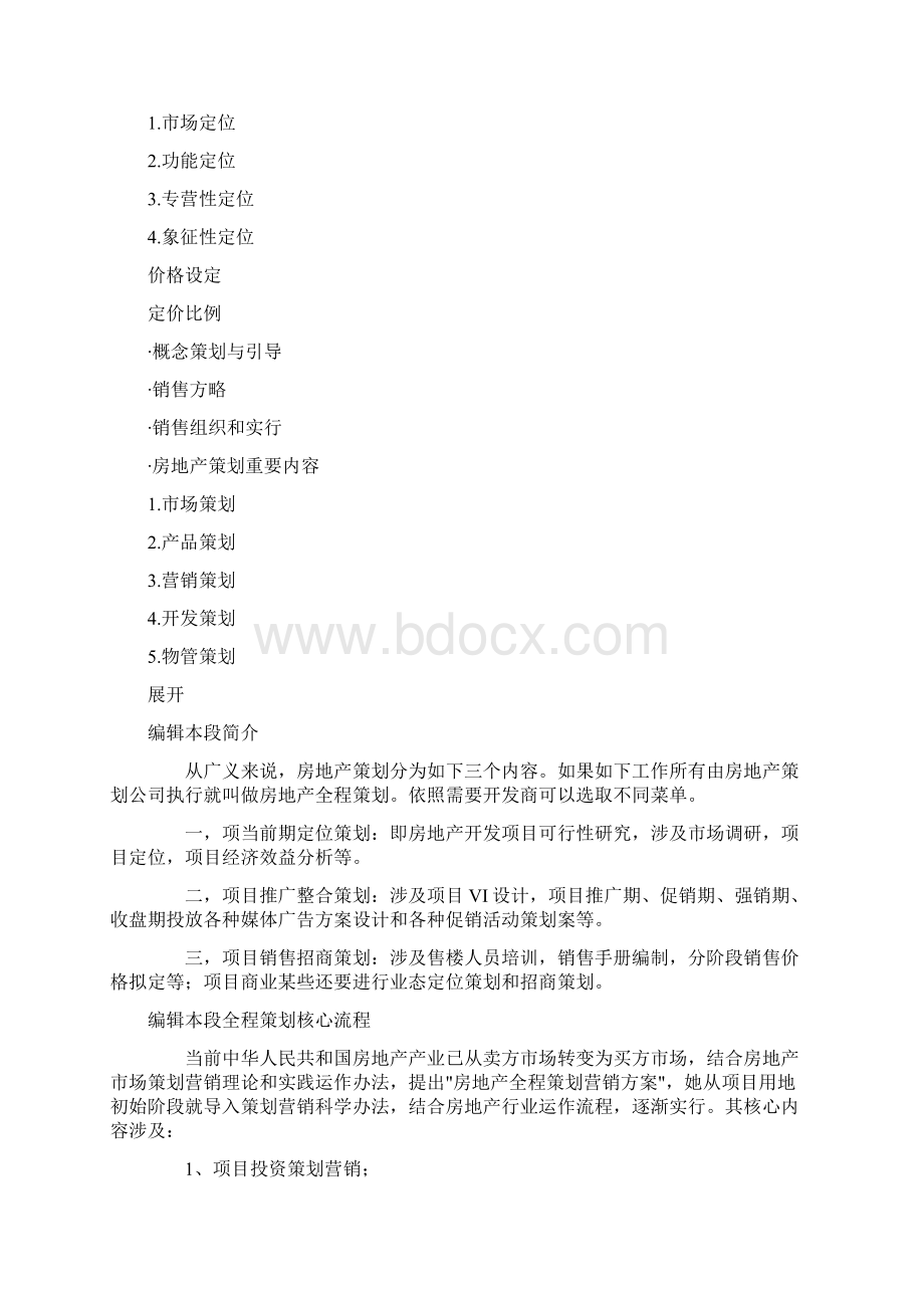 房地产专项策划.docx_第3页