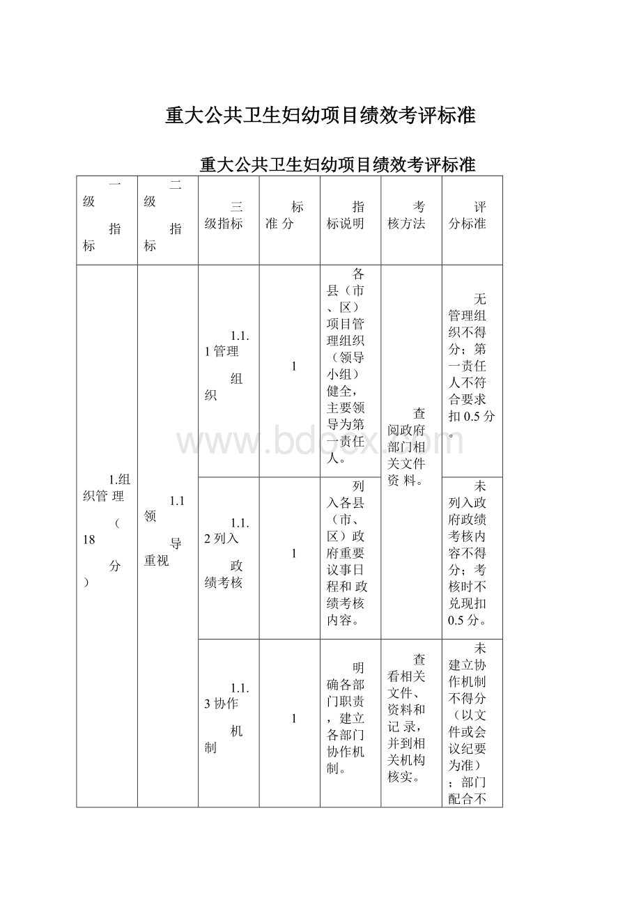 重大公共卫生妇幼项目绩效考评标准.docx