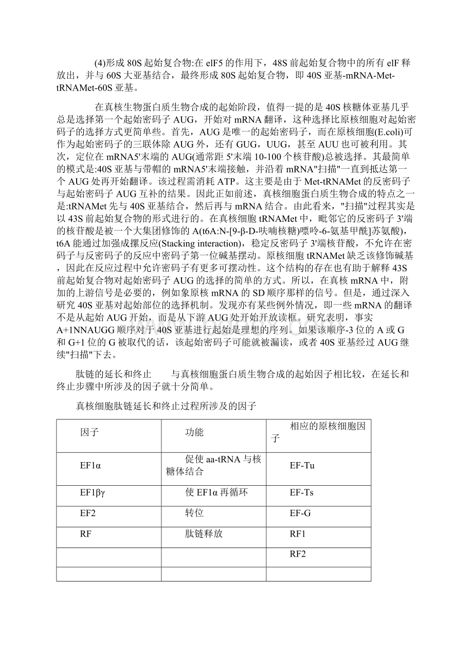 真核生物蛋白质生物合成的起始之欧阳法创编.docx_第2页