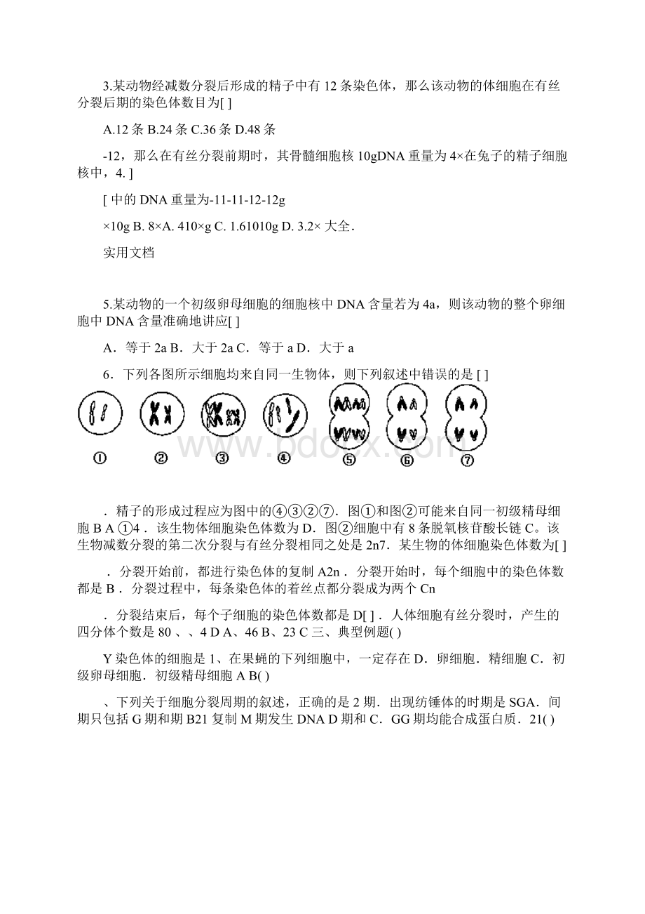 高三一轮复习有丝分裂和减数分裂学案含问题详解Word下载.docx_第2页