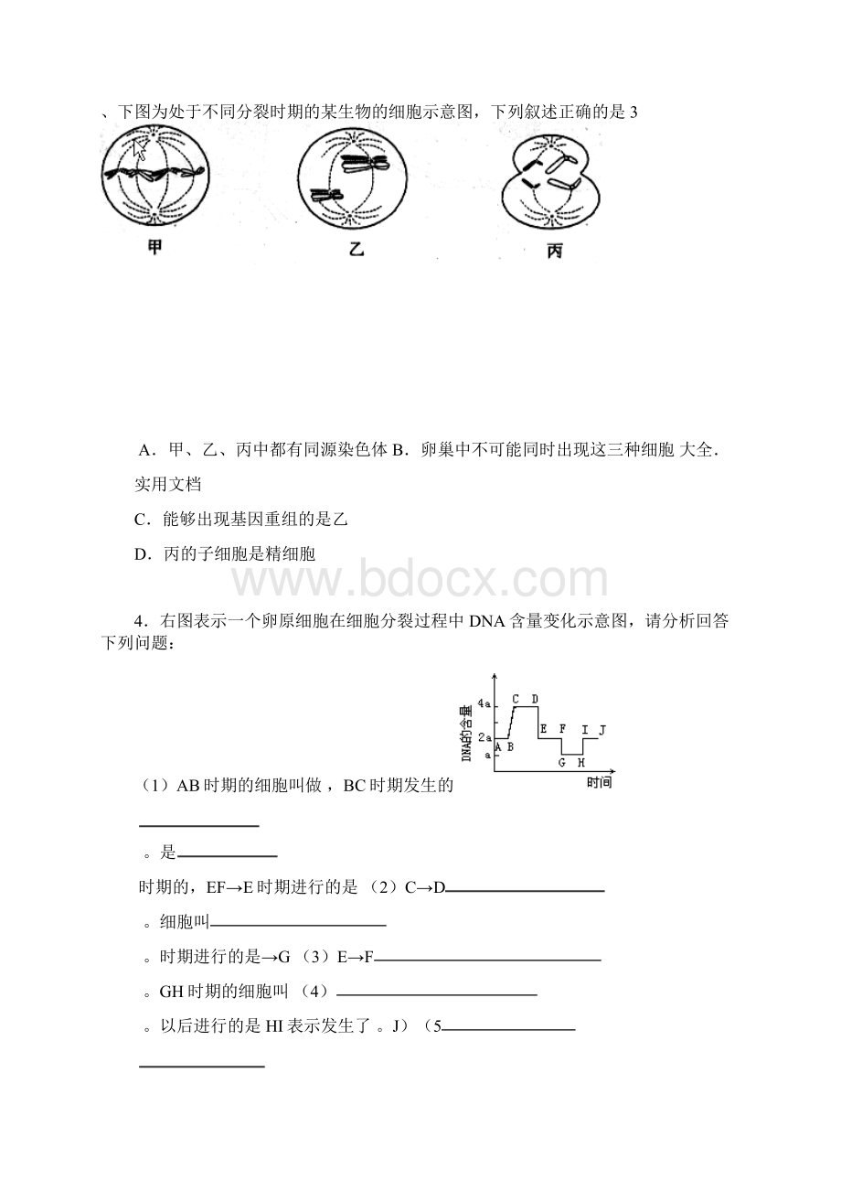 高三一轮复习有丝分裂和减数分裂学案含问题详解.docx_第3页