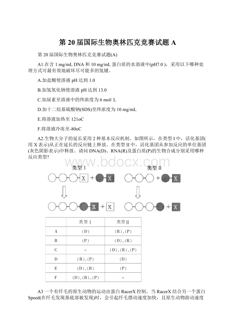 第20届国际生物奥林匹克竞赛试题AWord格式.docx_第1页