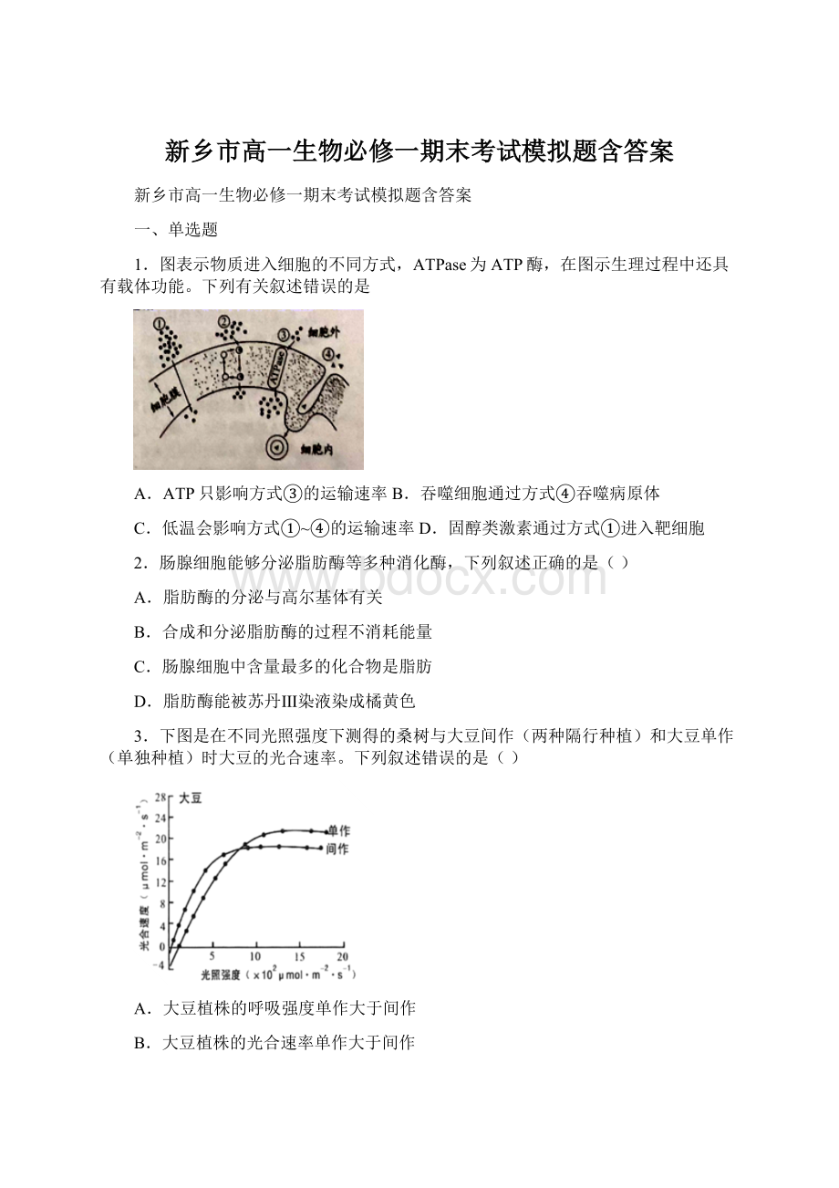 新乡市高一生物必修一期末考试模拟题含答案.docx