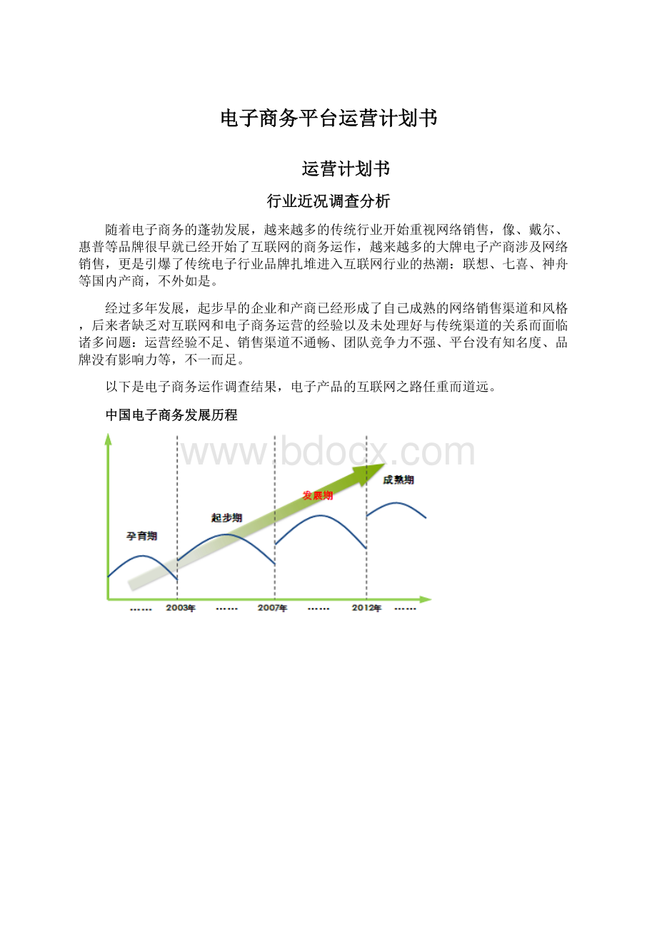 电子商务平台运营计划书.docx_第1页