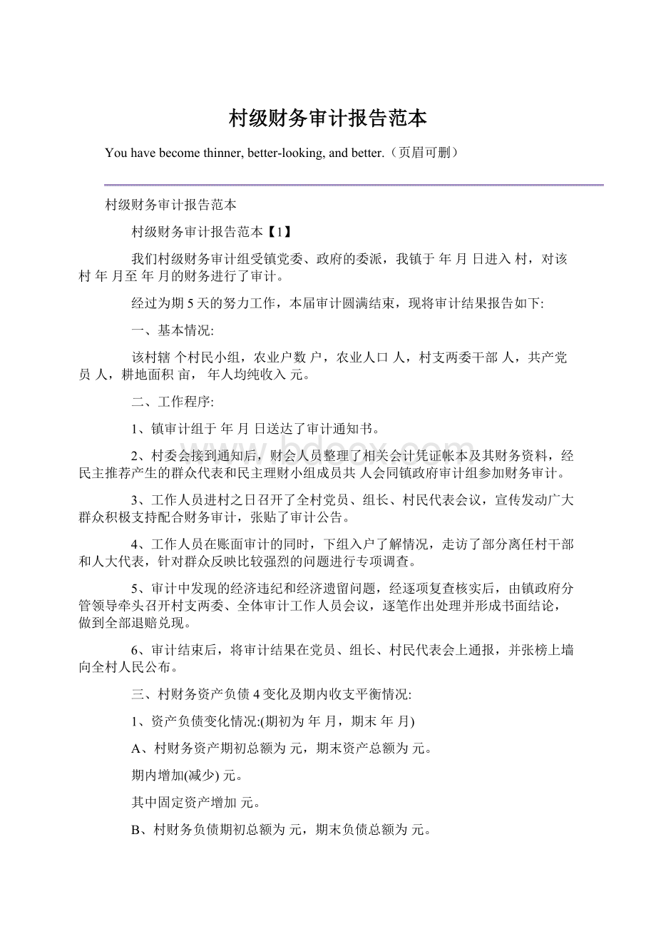 村级财务审计报告范本文档格式.docx_第1页