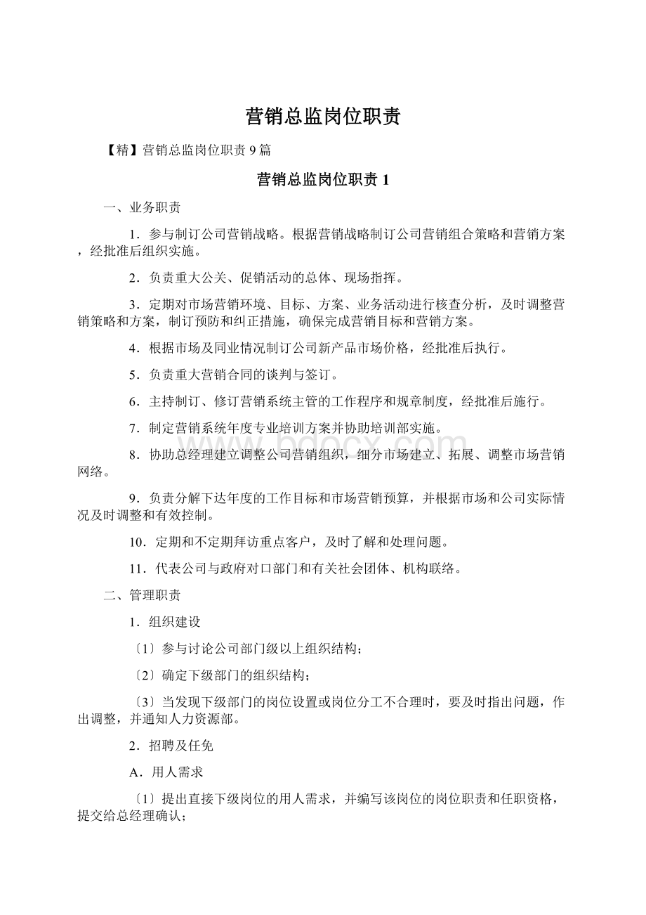 营销总监岗位职责Word文档格式.docx