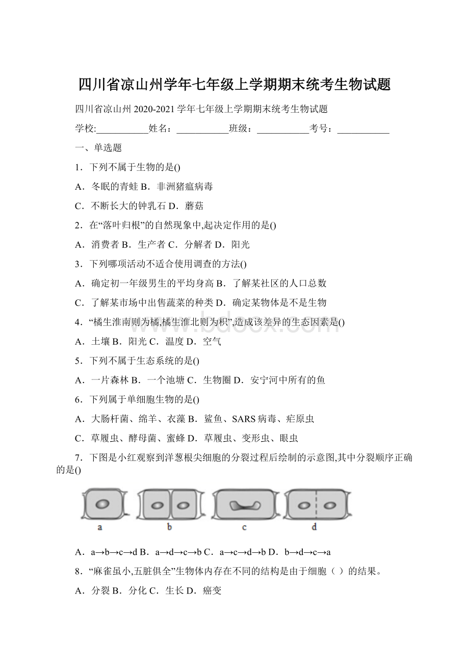 四川省凉山州学年七年级上学期期末统考生物试题Word文档下载推荐.docx