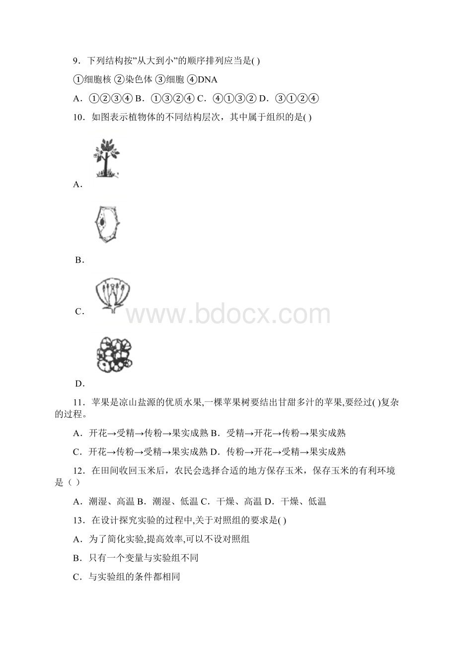 四川省凉山州学年七年级上学期期末统考生物试题.docx_第2页