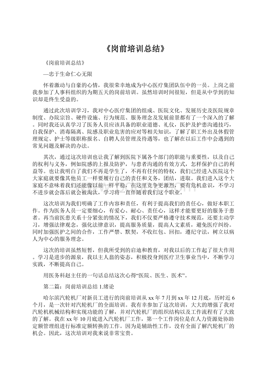 《岗前培训总结》文档格式.docx