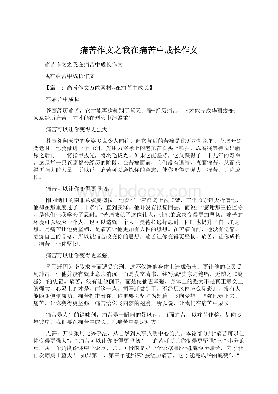 痛苦作文之我在痛苦中成长作文文档格式.docx