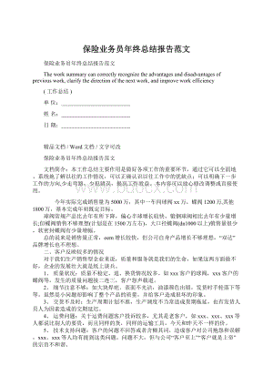 保险业务员年终总结报告范文Word格式.docx