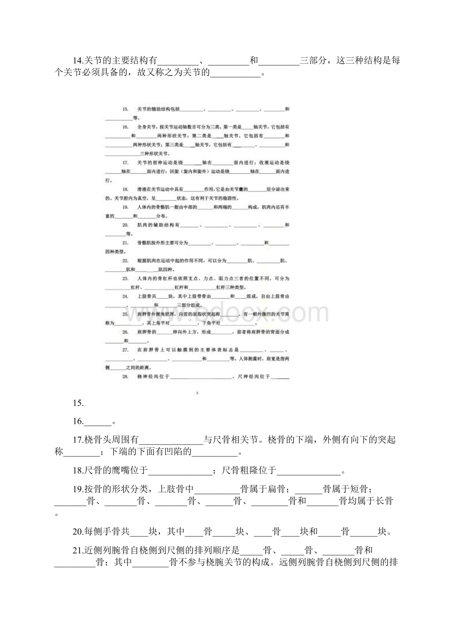 系统解剖学运动系统习题文档格式.docx_第2页