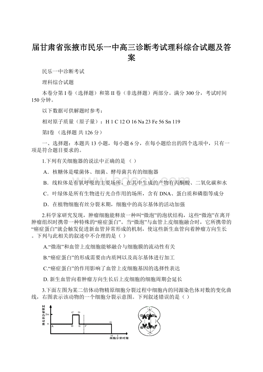 届甘肃省张掖市民乐一中高三诊断考试理科综合试题及答案.docx