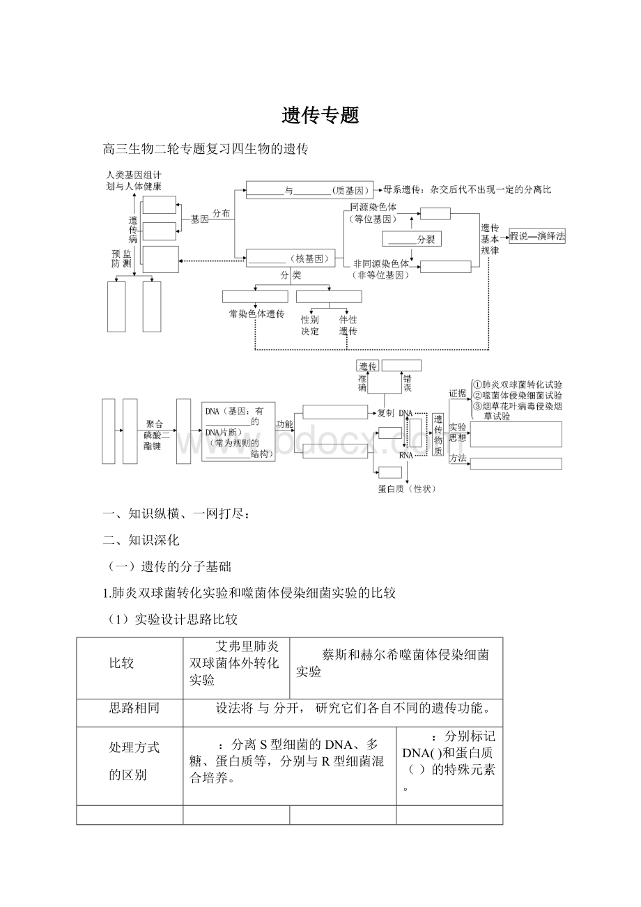 遗传专题.docx