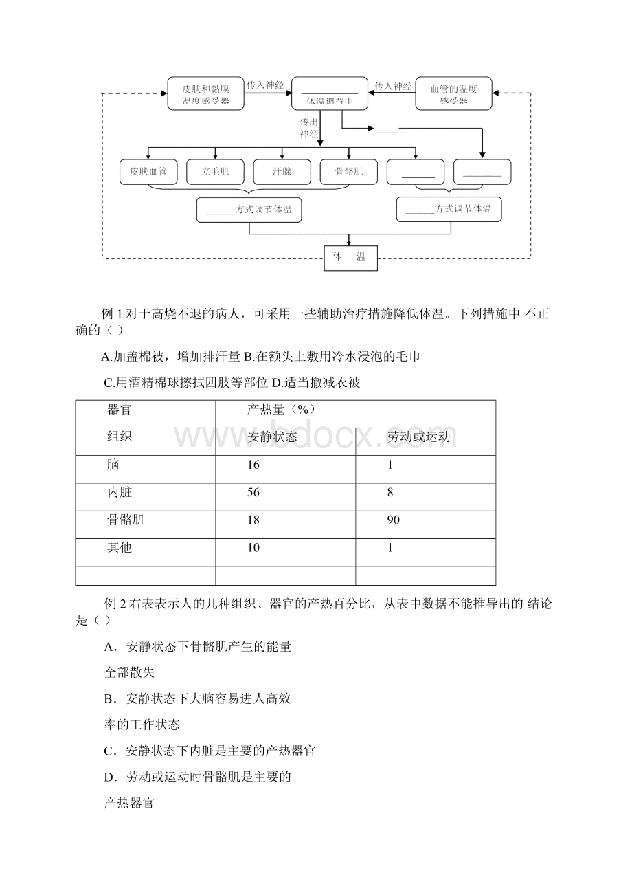 人体的体温及其调节讲义与习题.docx_第3页