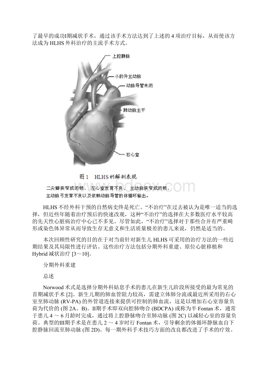 左心发育不良的综合外科治疗.docx_第2页