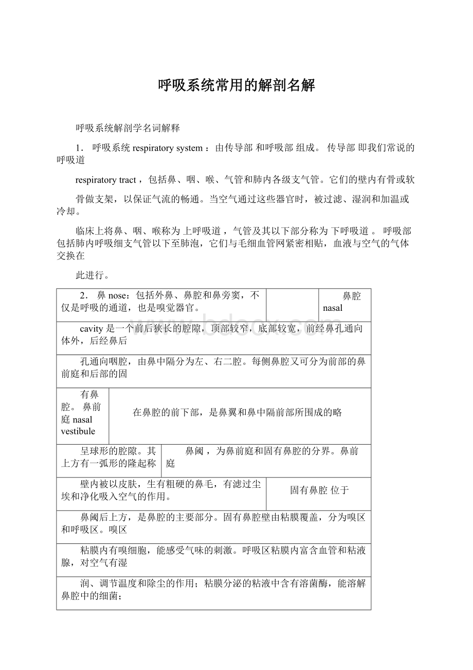 呼吸系统常用的解剖名解.docx_第1页