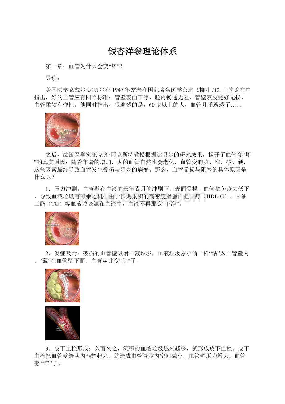 银杏洋参理论体系.docx