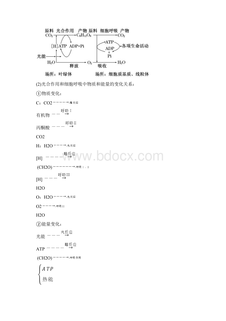 高考生物二轮复习精品考点学与练 专题04 细胞呼吸与光合作用解析版Word下载.docx_第2页