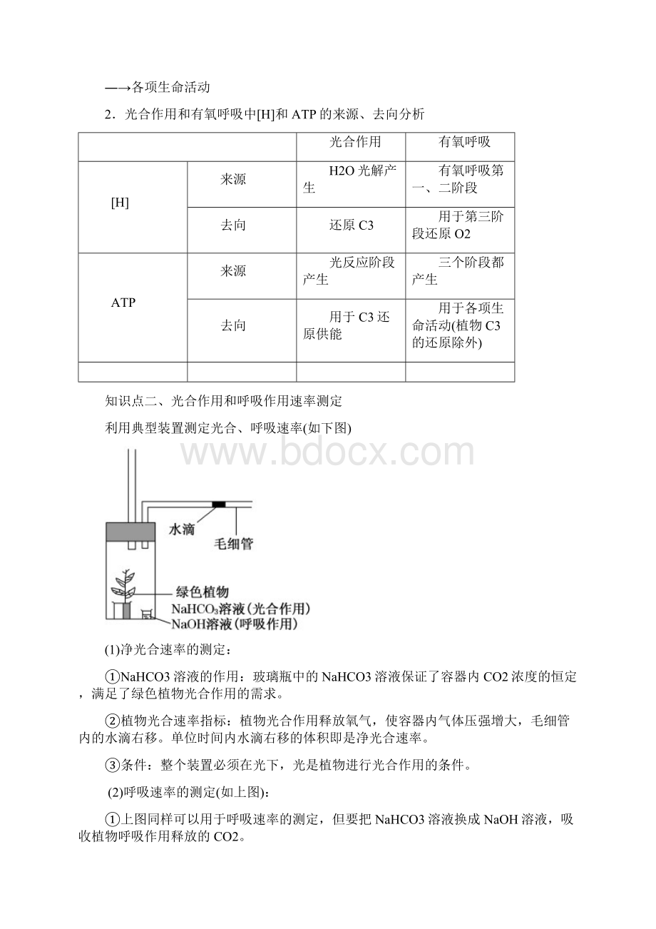 高考生物二轮复习精品考点学与练 专题04 细胞呼吸与光合作用解析版Word下载.docx_第3页