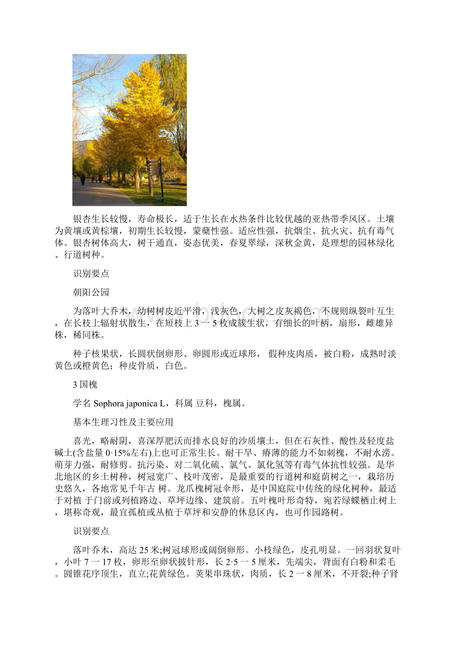 北方园林绿化常用树种花卉及用途Word格式.docx_第2页